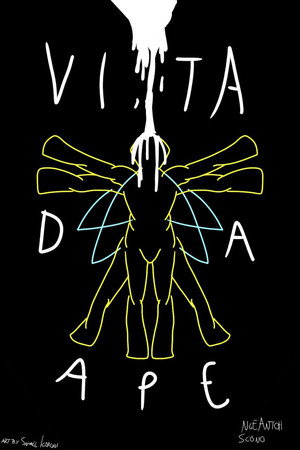 Vita Da Ape