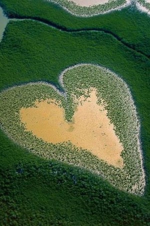 La Terre vue du ciel