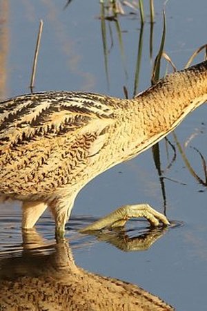 3. epizoda