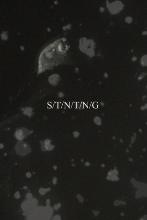 S/T/N/T/N/G