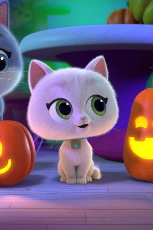 Howloween Cat