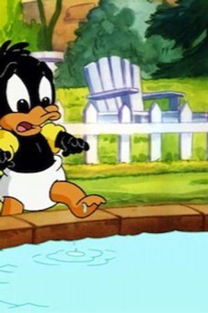 Jako kachna ve vodě