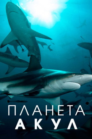 Планета акул