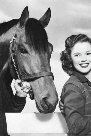 The Story of Seabiscuit