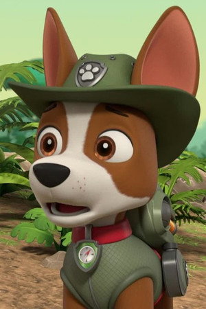 Pups Save a Humdinger Doll
