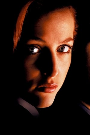 The X Files