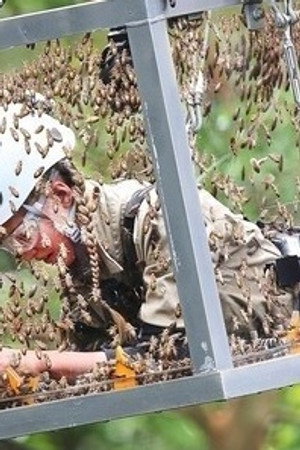 Hang Glider from Hell