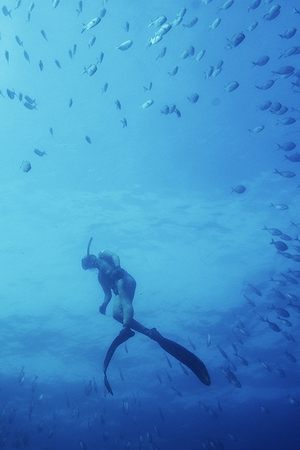 epizoda