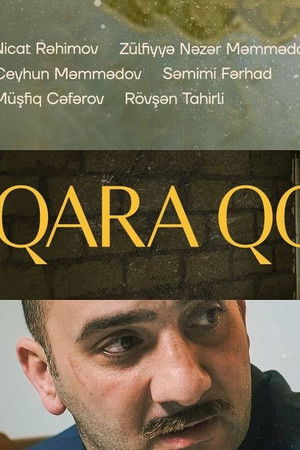 Qara Qoç