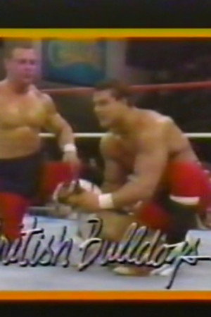 June 13, 1987 - Superstars of Wrestling 41