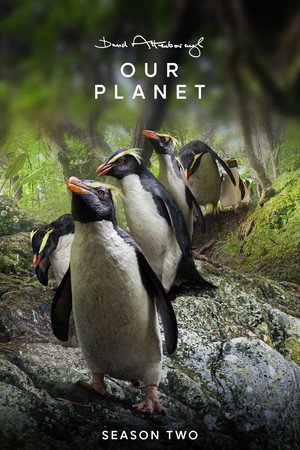Naše planeta II