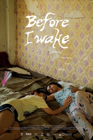 Before I Wake
