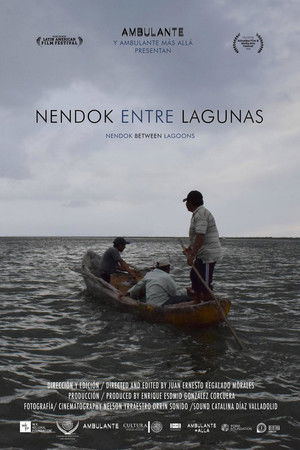 Nendok entre lagunas