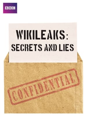 Pravdy a lži o Wikileaks