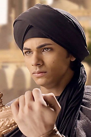 The Assassin