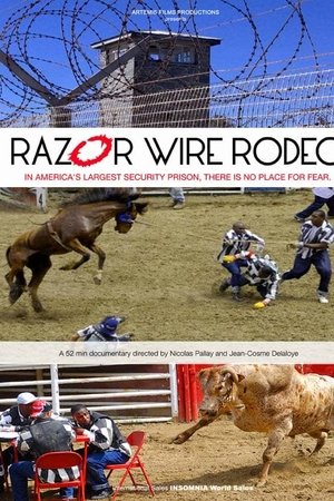 Razor Wire Rodeo