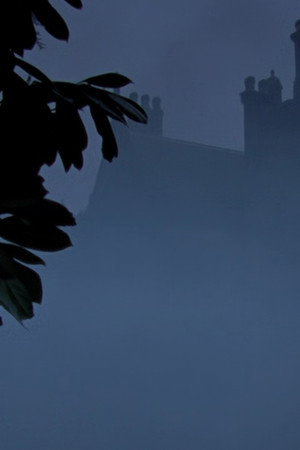 The Hound of the Baskervilles
