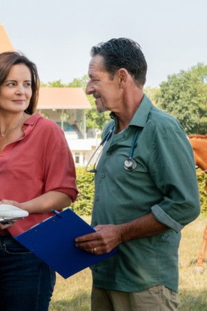 Sázka na vítězství