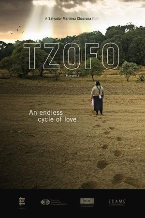 Tzofo