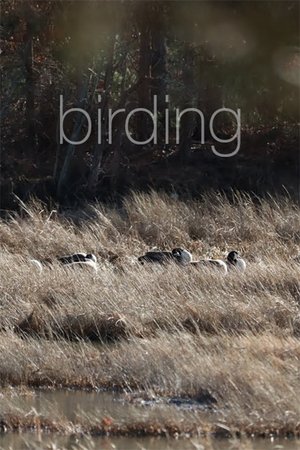Birding