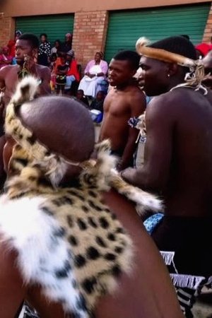 Afrika snů a skutečnosti