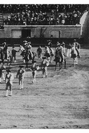 Sortie de la Quadrille et commencement de la course (Vue de trois quarts)