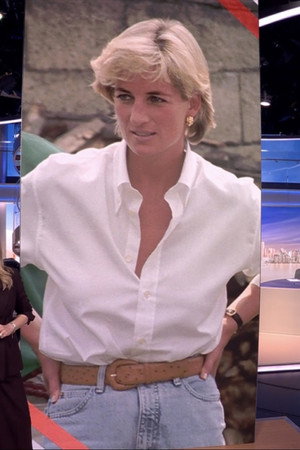 Earl Spencer, Sting and taxing the wealthy