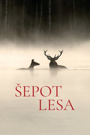 Šepot lesa