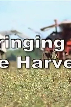 Bringing In the Harvest