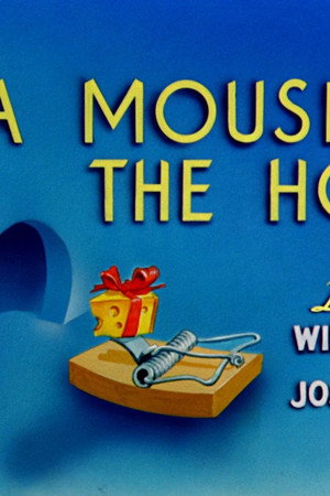 A Mouse in the House