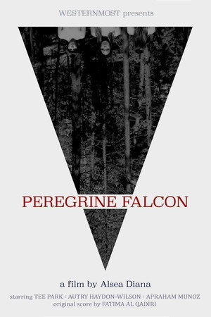 Peregrine Falcon