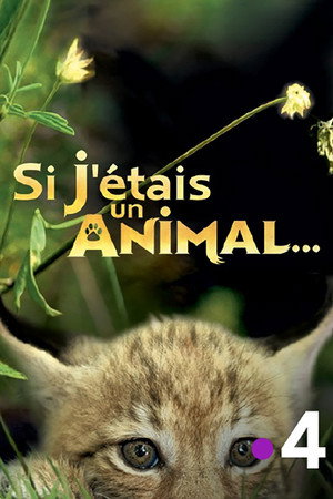 Si J'étais un animal