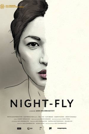 Night-Fly
