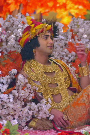 Krishna Breathes His Last