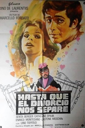 Causa di divorzio