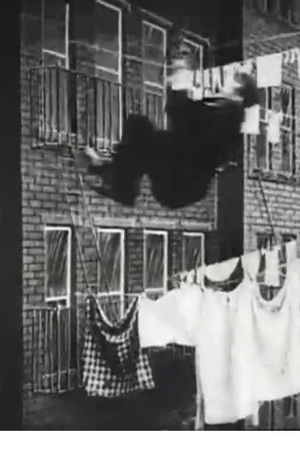 The Burglar's Slide for Life