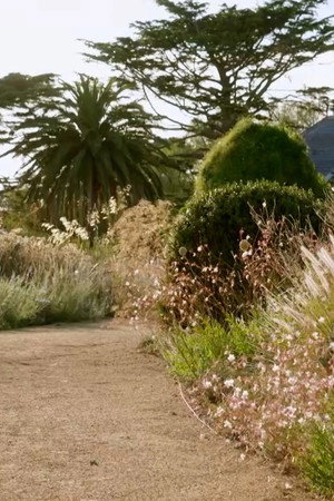 Episode 13 Autumn: Iconic Foliage Garden & Begonias 101