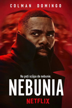 Nebunia