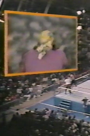 January 30, 1988 - Superstars of Wrestling 74