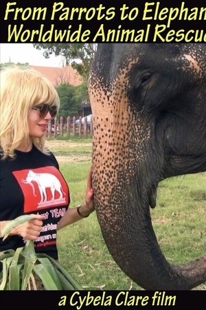 From Parrots to Elephants: Worldwide Animal Rescues