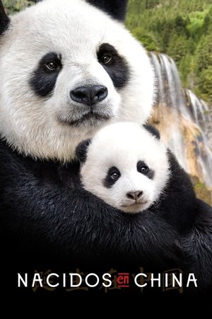 Imagen de Nacidos en China