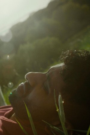 Rest Your Head