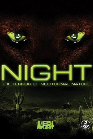 Night