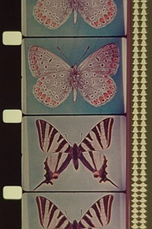 Triptych