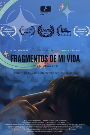 Fragmentos de mi Vida