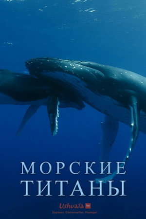 Морские титаны