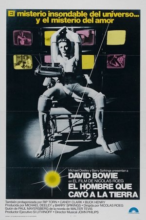 The Man Who Fell to Earth