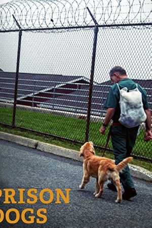 Prison Dogs