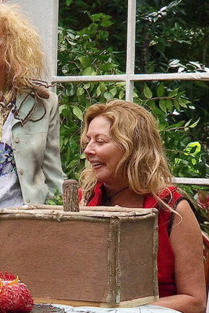 Big Bush Bake-Off / Stranded