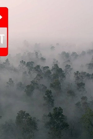 Jungle ko Katha